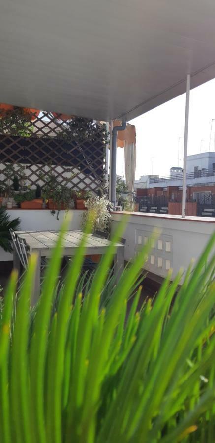 Apartamento Terraza Asuncion *