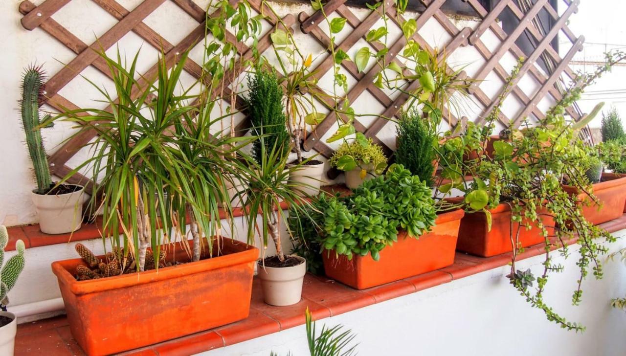 Apartamento Terraza Asuncion *